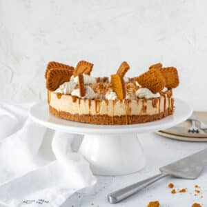 speculaas cheesecake 3 1