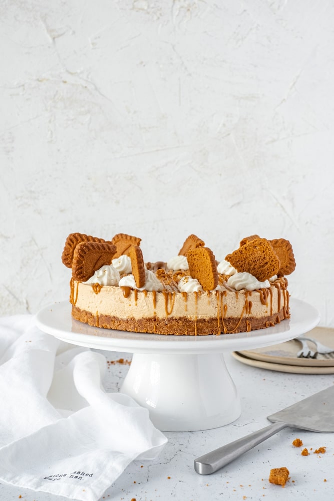 speculaas cheesecake 4