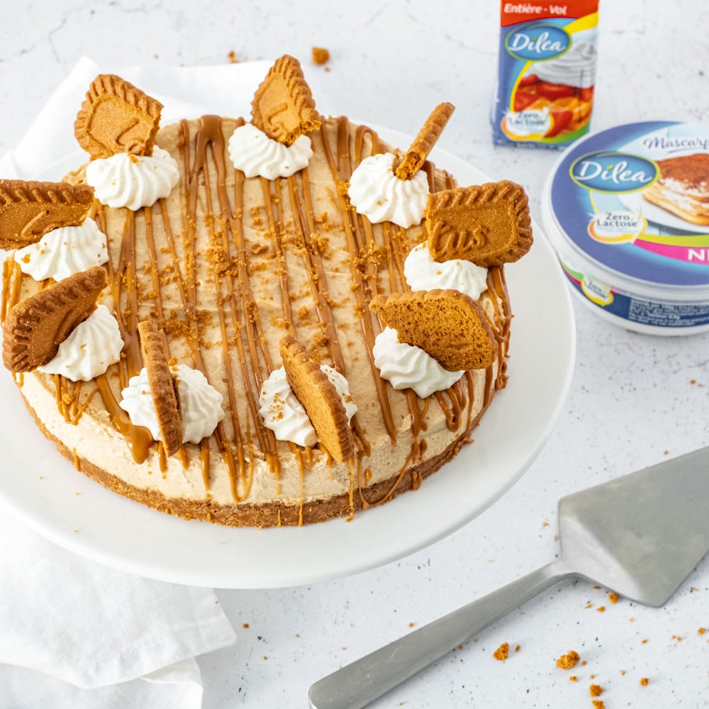 speculaas cheesecake 8